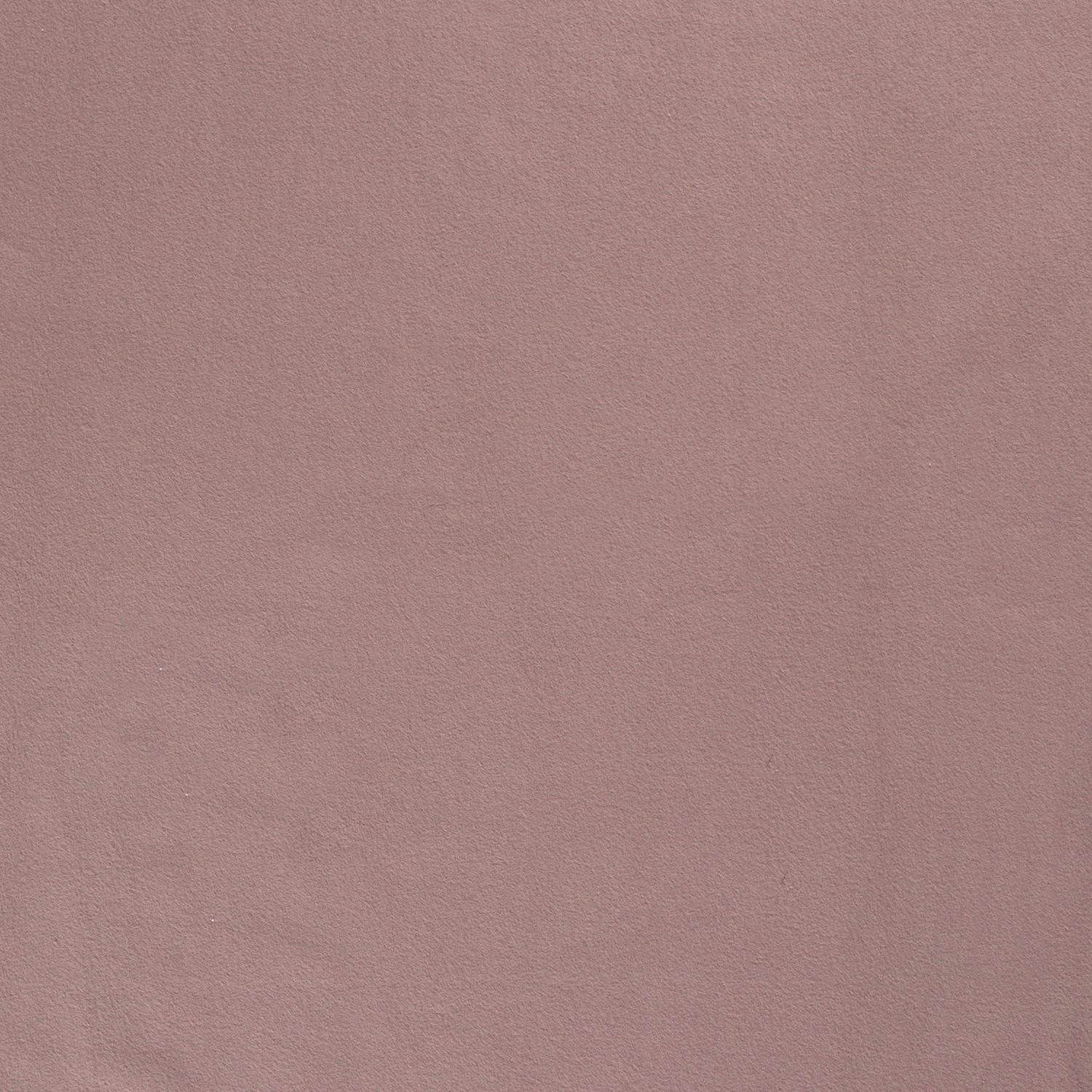 COTTON FLEECE - MAUVE - 2
