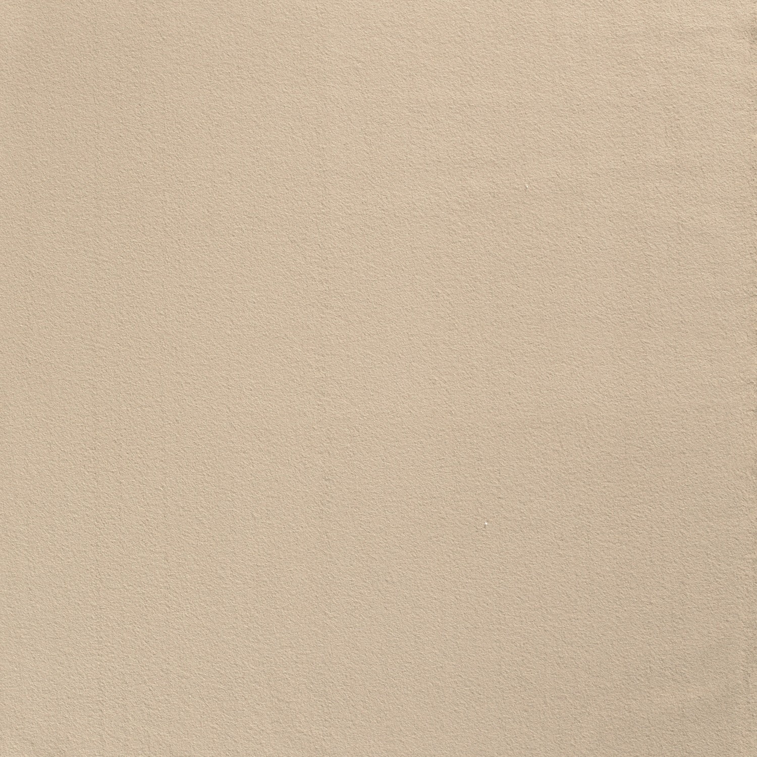 COTTON FLEECE - BEIGE - 2