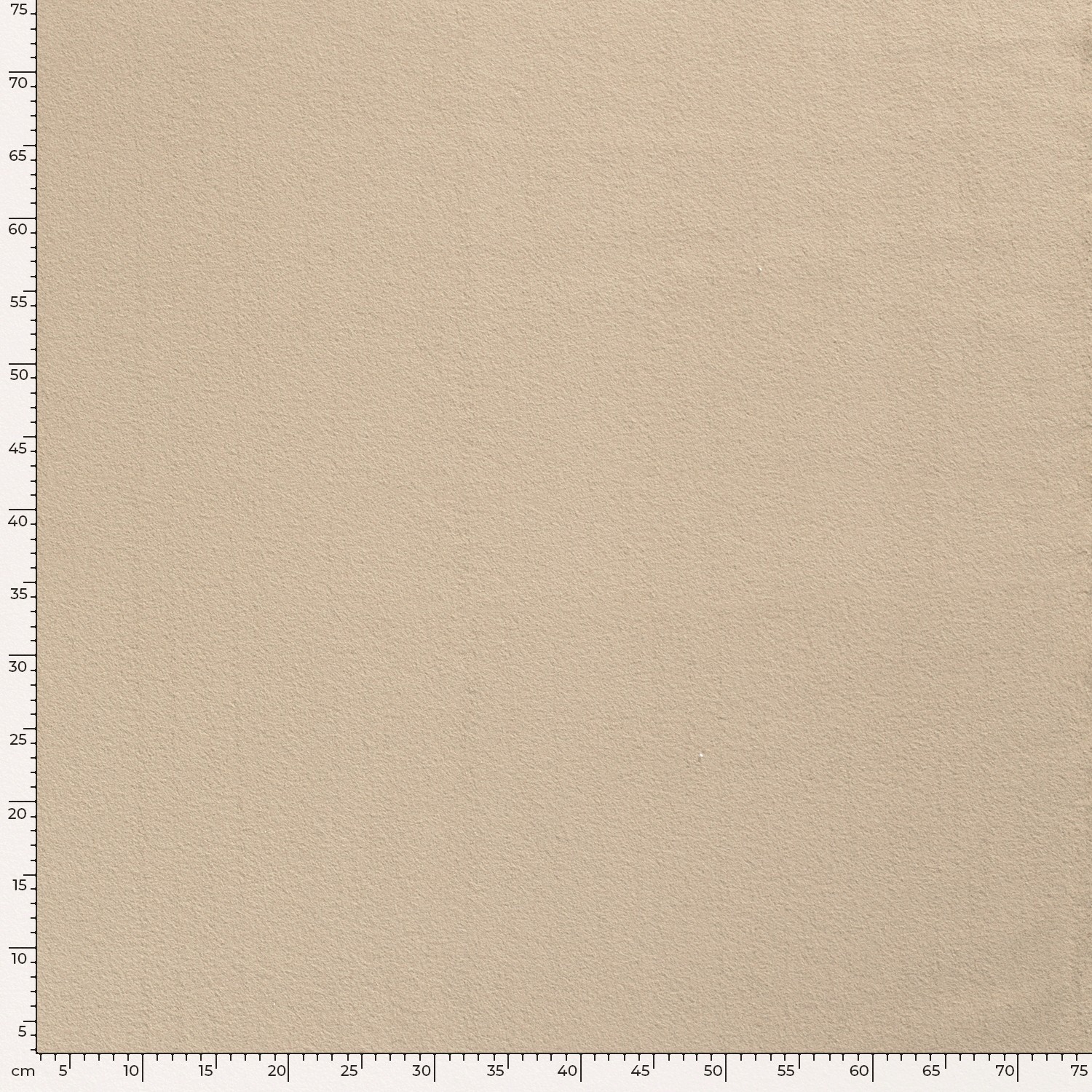 COTTON FLEECE - BEIGE - 5
