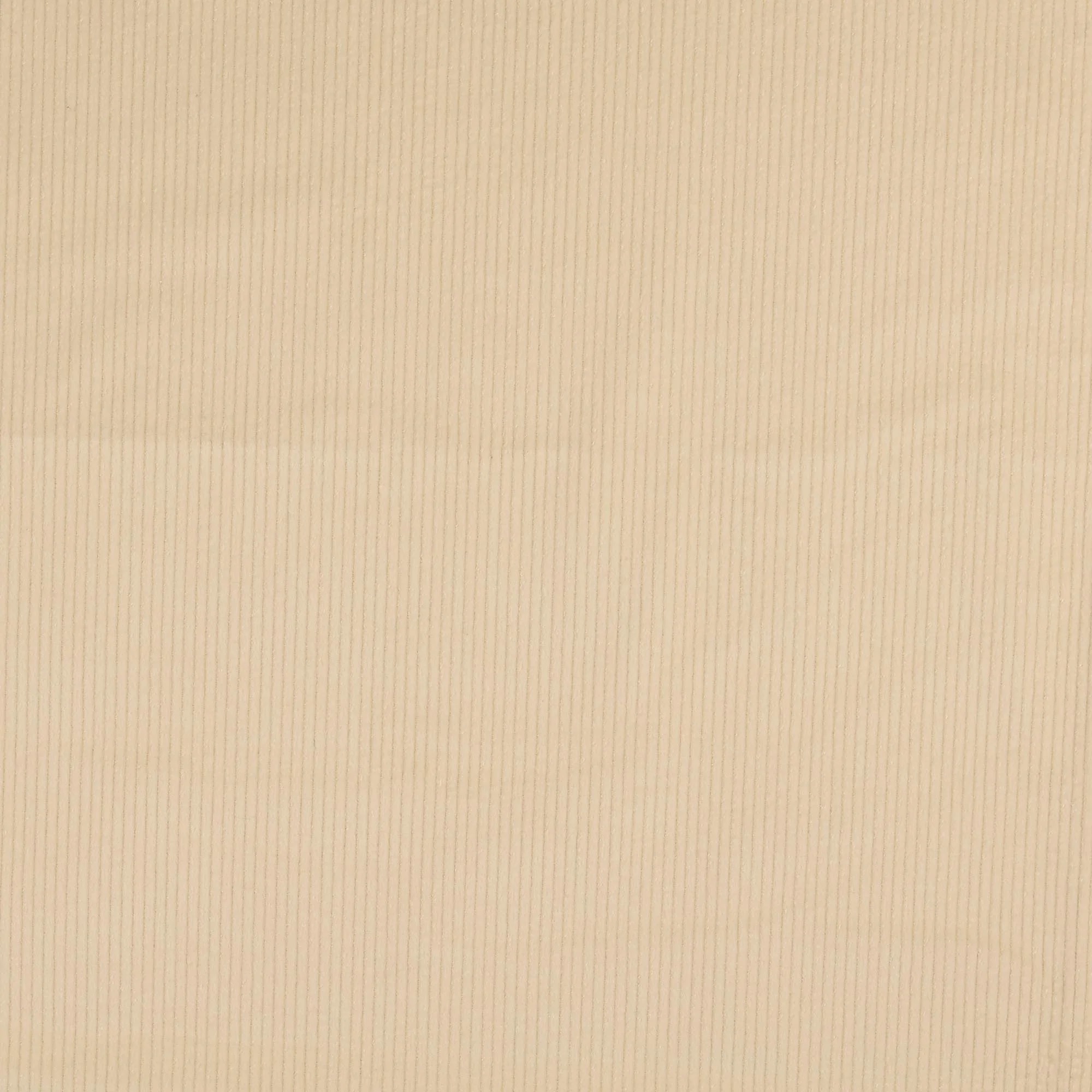 CORDUROY - CREAM WHITE - 2