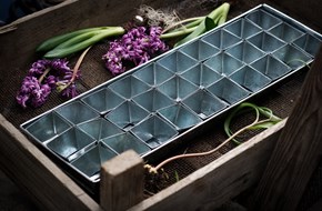 W.E.T. Seed Pot 30 - 2