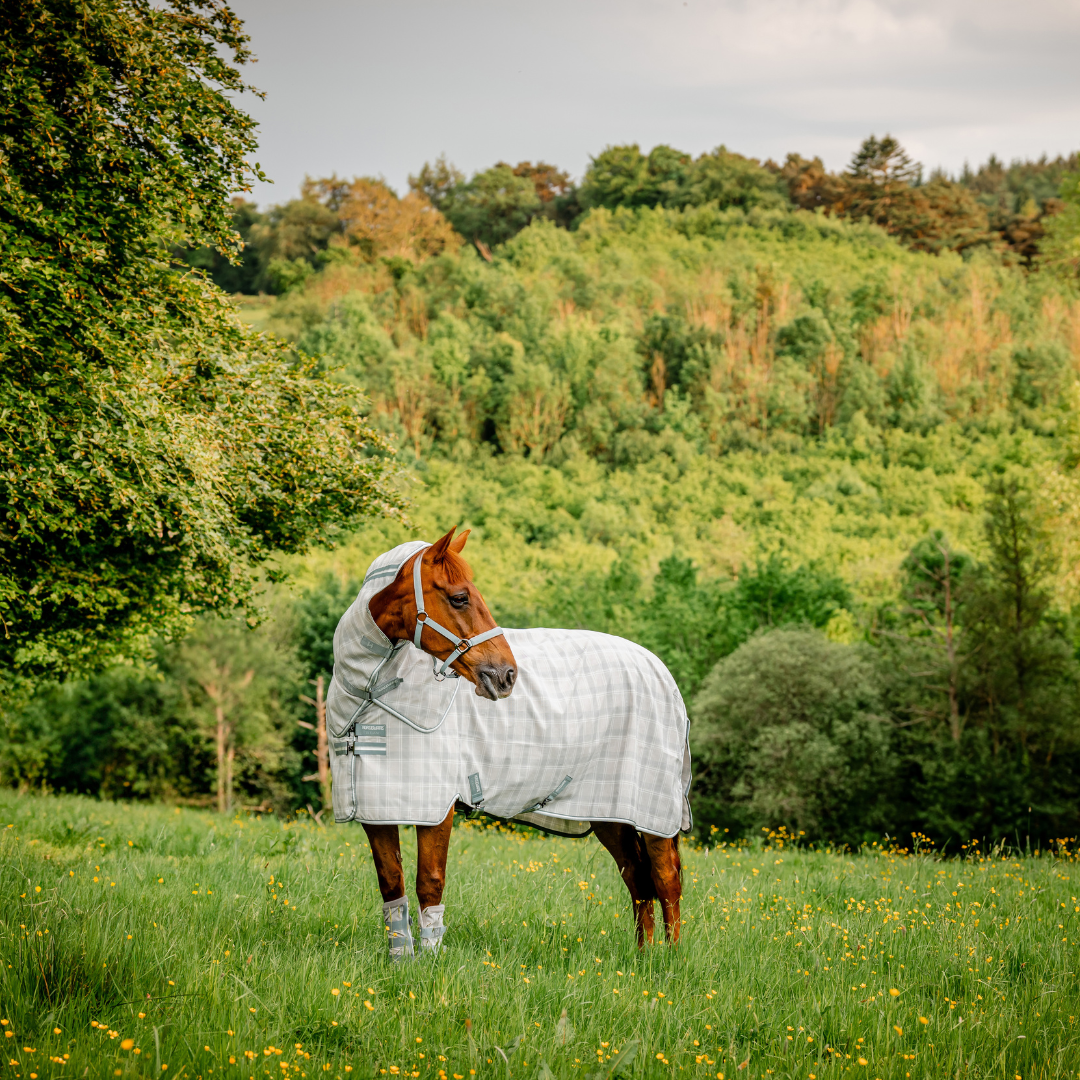 HORSEWARE NEWMARKET PLUS FLY SHEET OUTGOING COLOR - 7