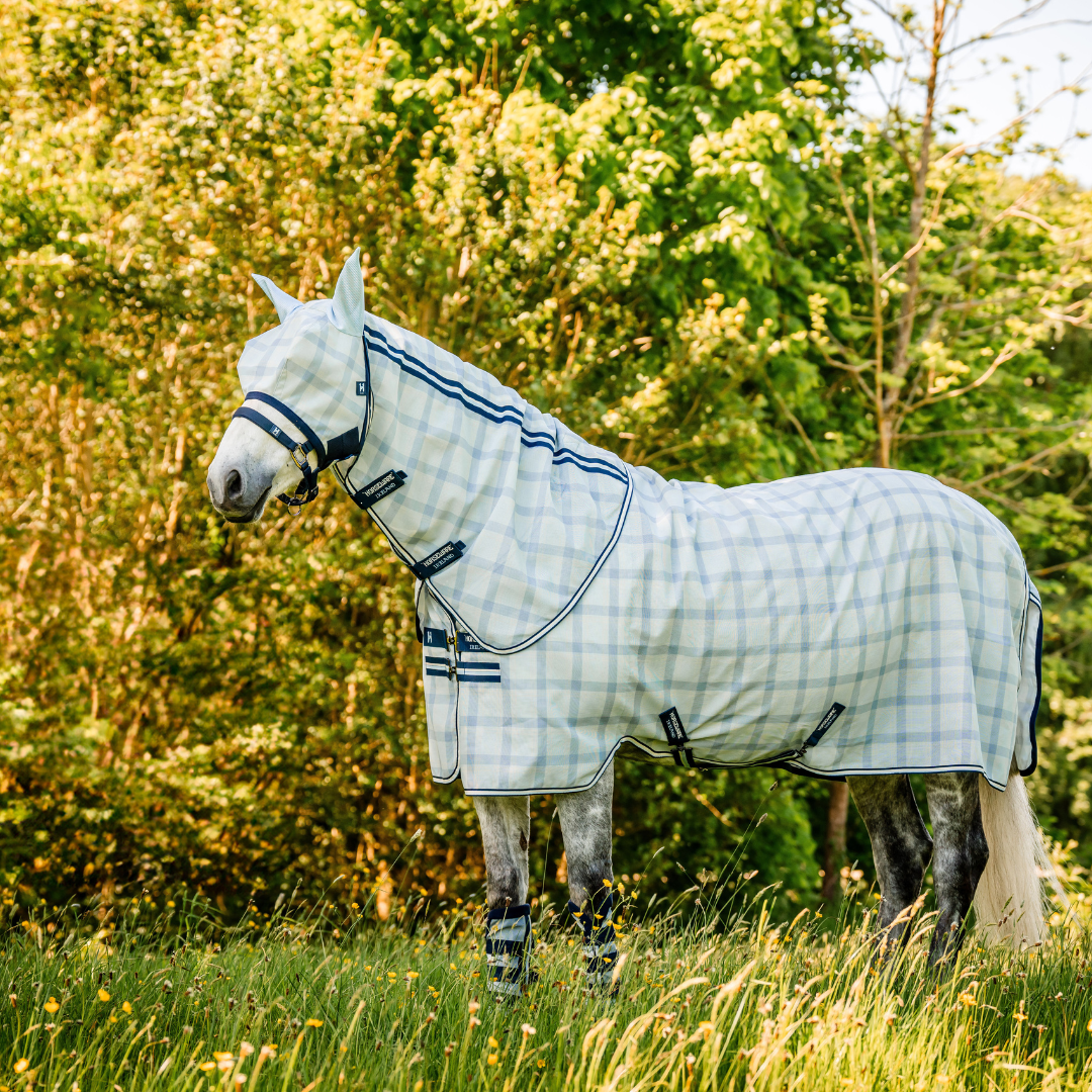 HORSEWARE NEWMARKET PLUS FLY SHEET OUTGOING COLOR - 3