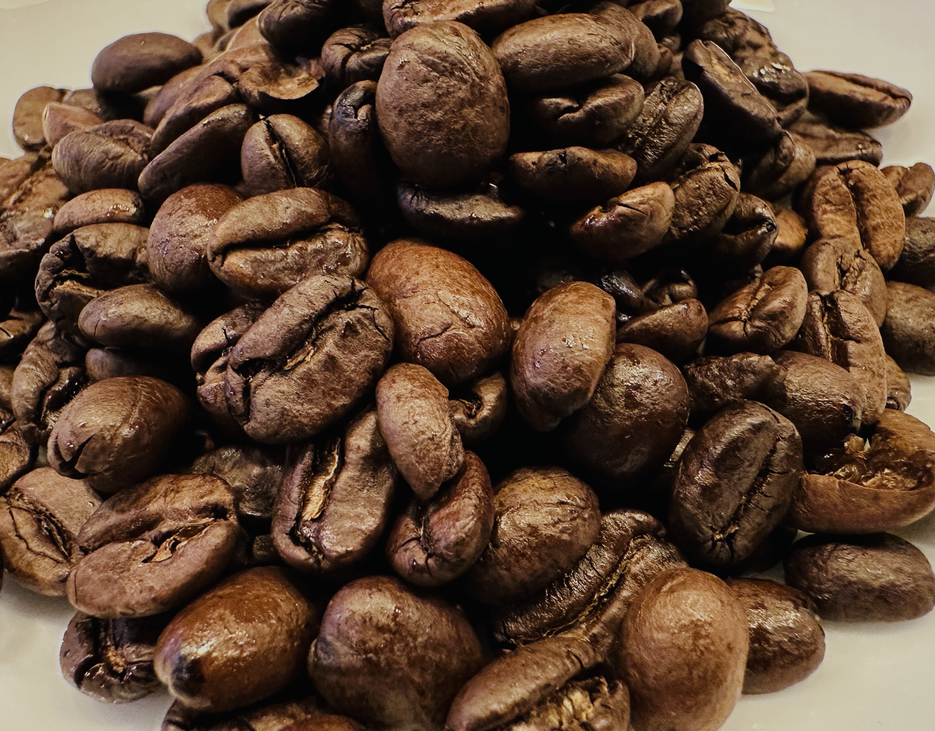 Expressionist mörkrostat kaffe Lidköping