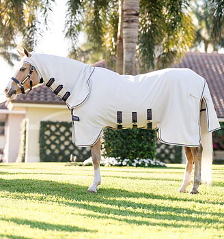 AMIGO RIPSTOP HOODY PONY
