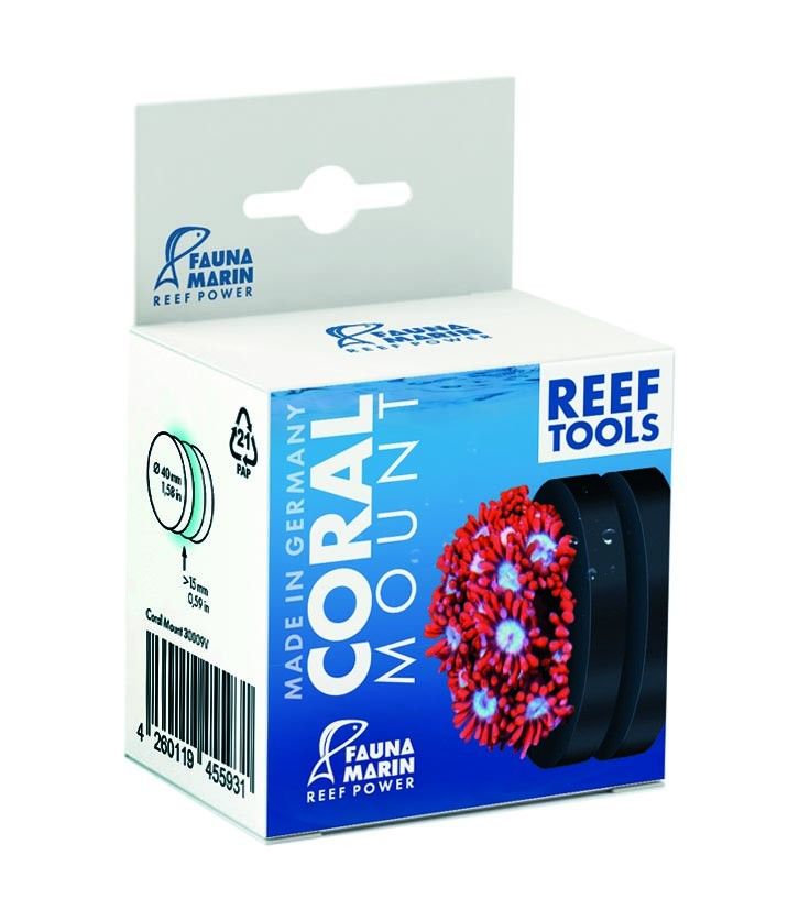 Fauna Marin Coral Mount