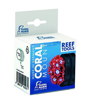 Fauna Marin Coral Mount