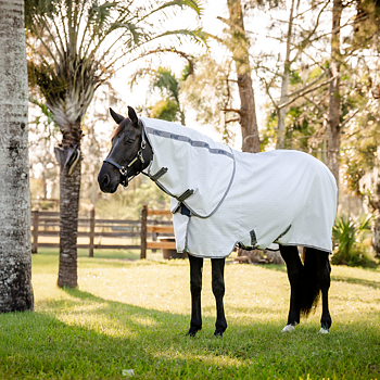 AMIGO SUMMER SHEET PLUS (FD Aussie Allrounder)