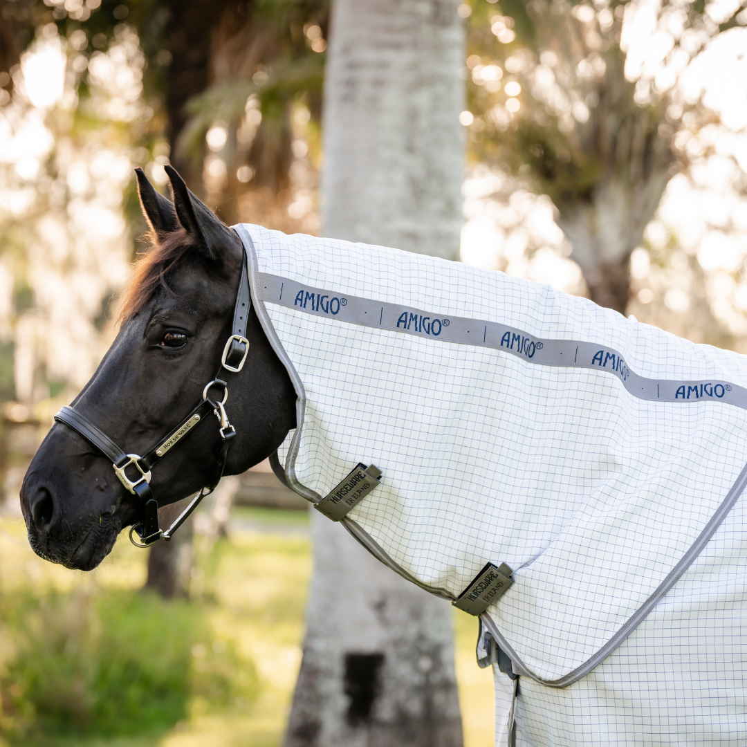 AMIGO SUMMER SHEET PLUS (FD Aussie Allrounder) - 2