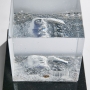 Under Surface - 3