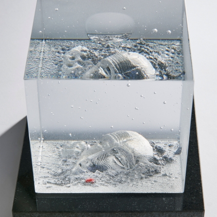 Under Surface II - 3