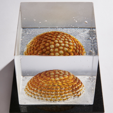 Dome Gold Cube - 3