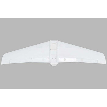 E-flite Painted Wing V1200