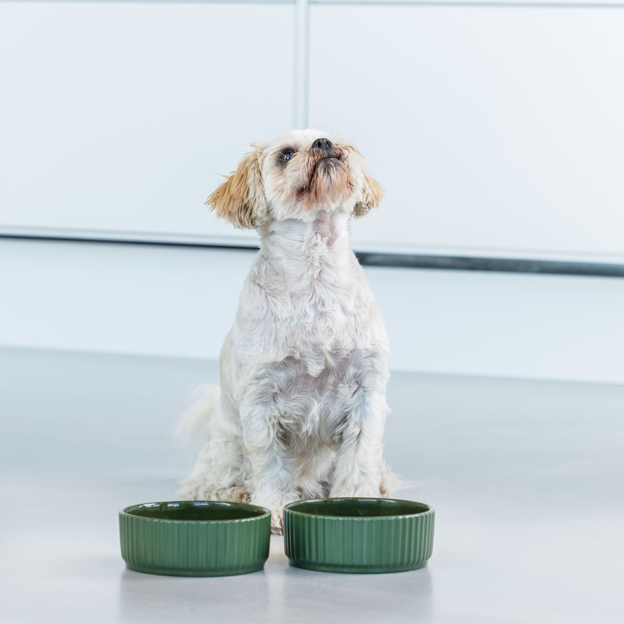 Dog Copenhagen Kronborg Food Bowl - Racing Green - Stoneware