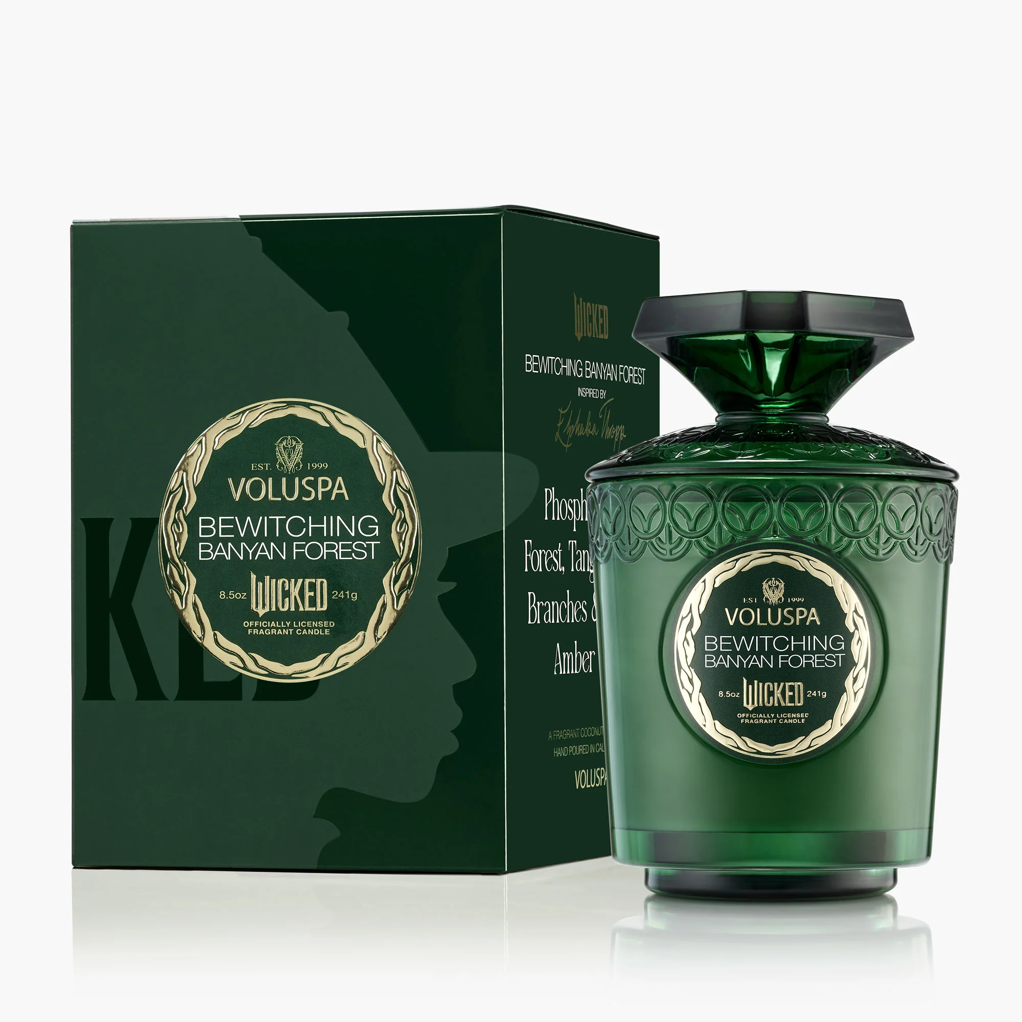 Voluspa Wicked  Bewitching Banyan Forest Boxed Candle