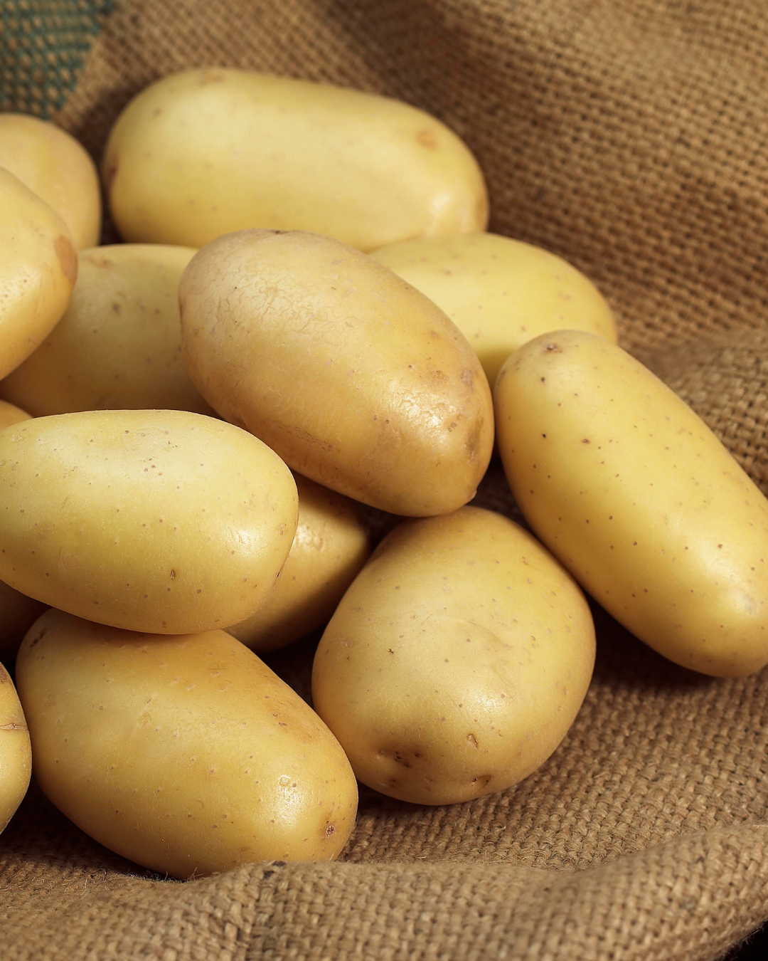 Sättpotatis - Amandine 1kg - 3kg