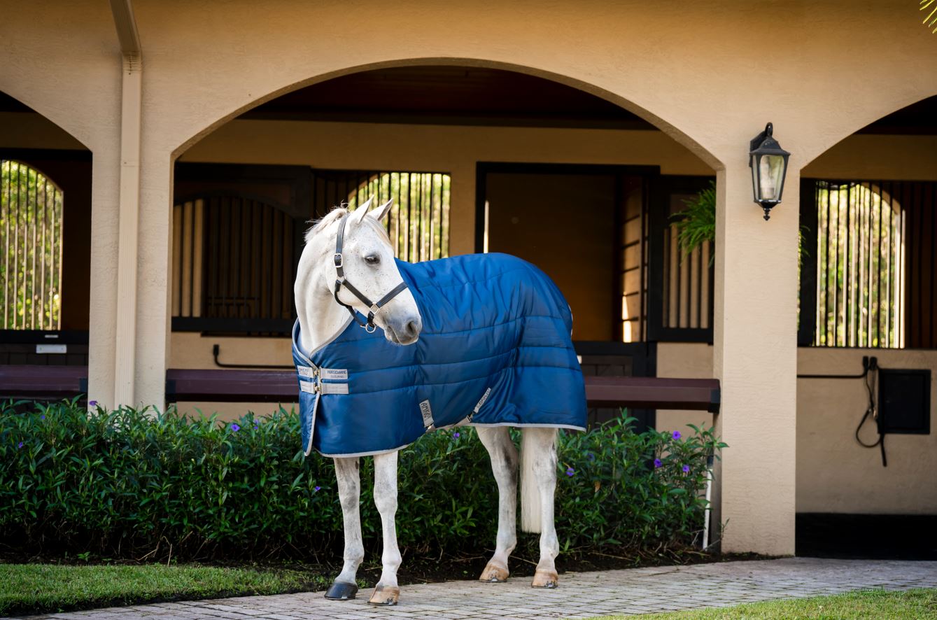 Horseware Amigo Ripstop Insulator PONY Talliloimi 100g - Navy/Titanium Grey (115cm (5'6"))