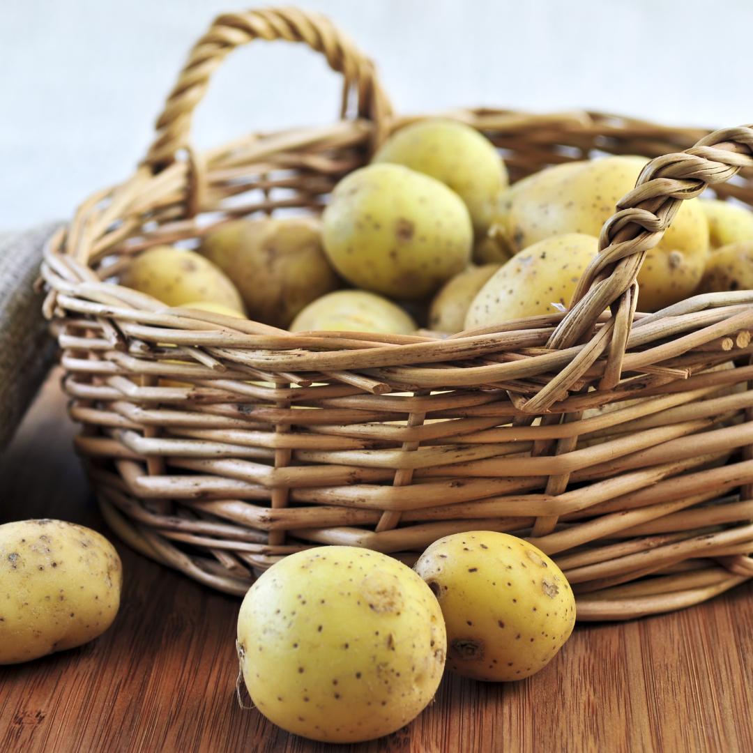 Sättpotatis - Rocket 1kg - 3kg