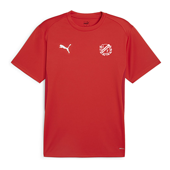 Puma Teamgoal  Jersey Jersey (Hallaryds IF)