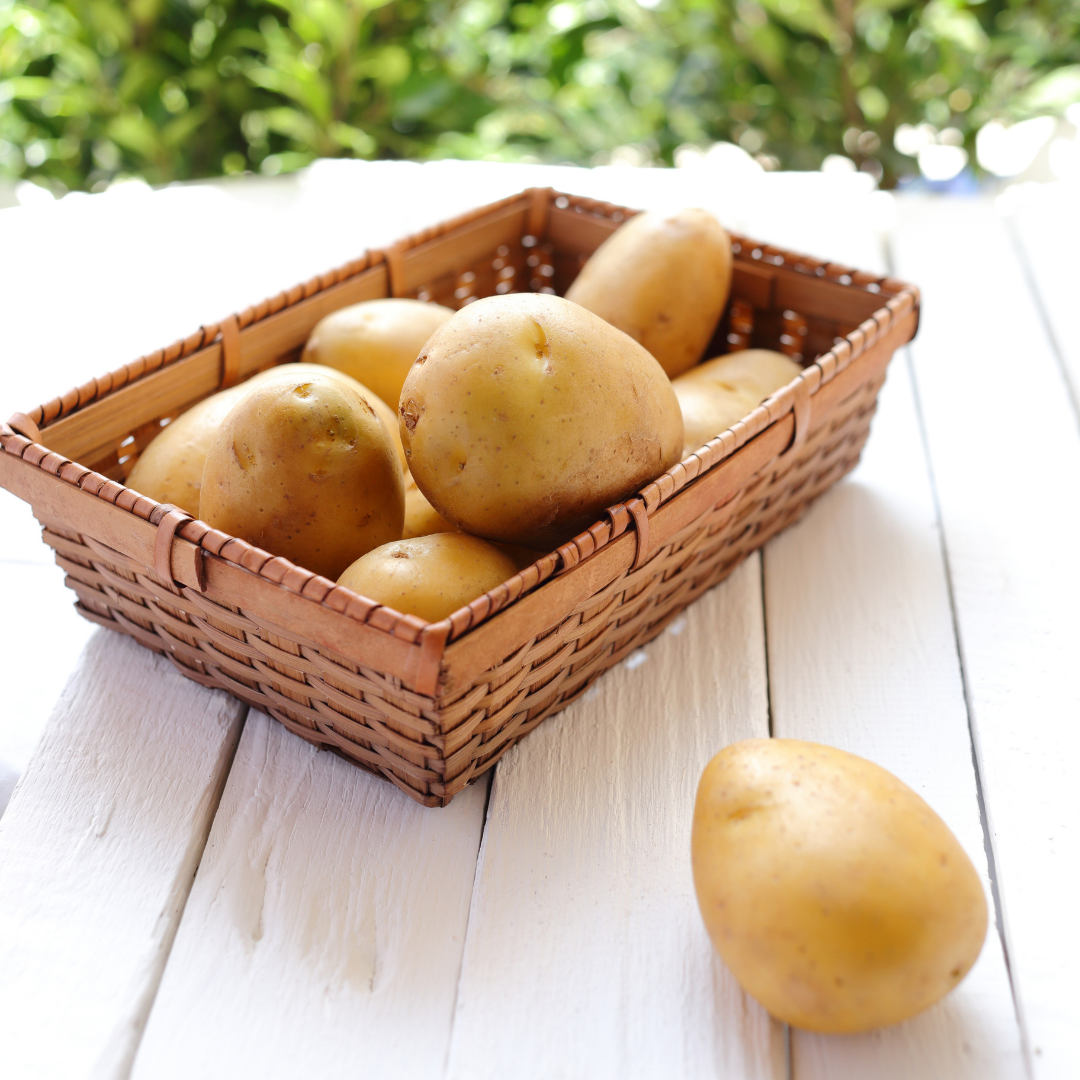 Sättpotatis - Solist 1kg - 3kg