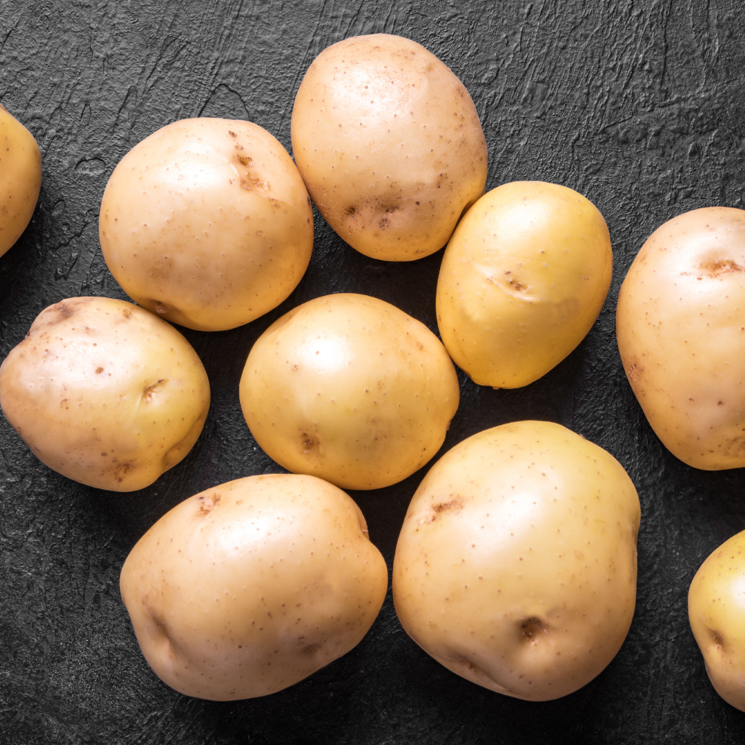 Sättpotatis - Timo 1kg - 3kg