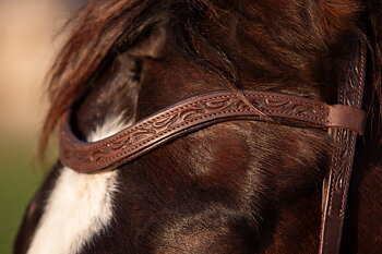 EDIX® Pannband Tooled