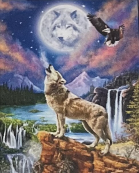  Vargyl i Månsken, Diamond Picture Diamond Painting