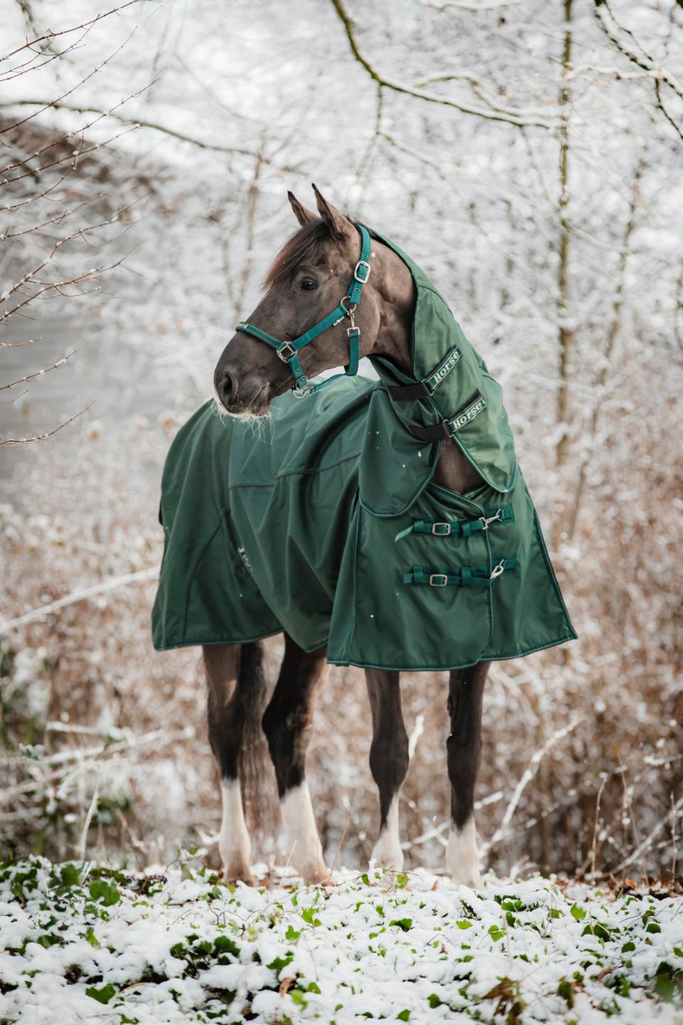 HorseGuard Adapting 1200D Turnout Hästtäcke 0g - Darkest Spruce (115)