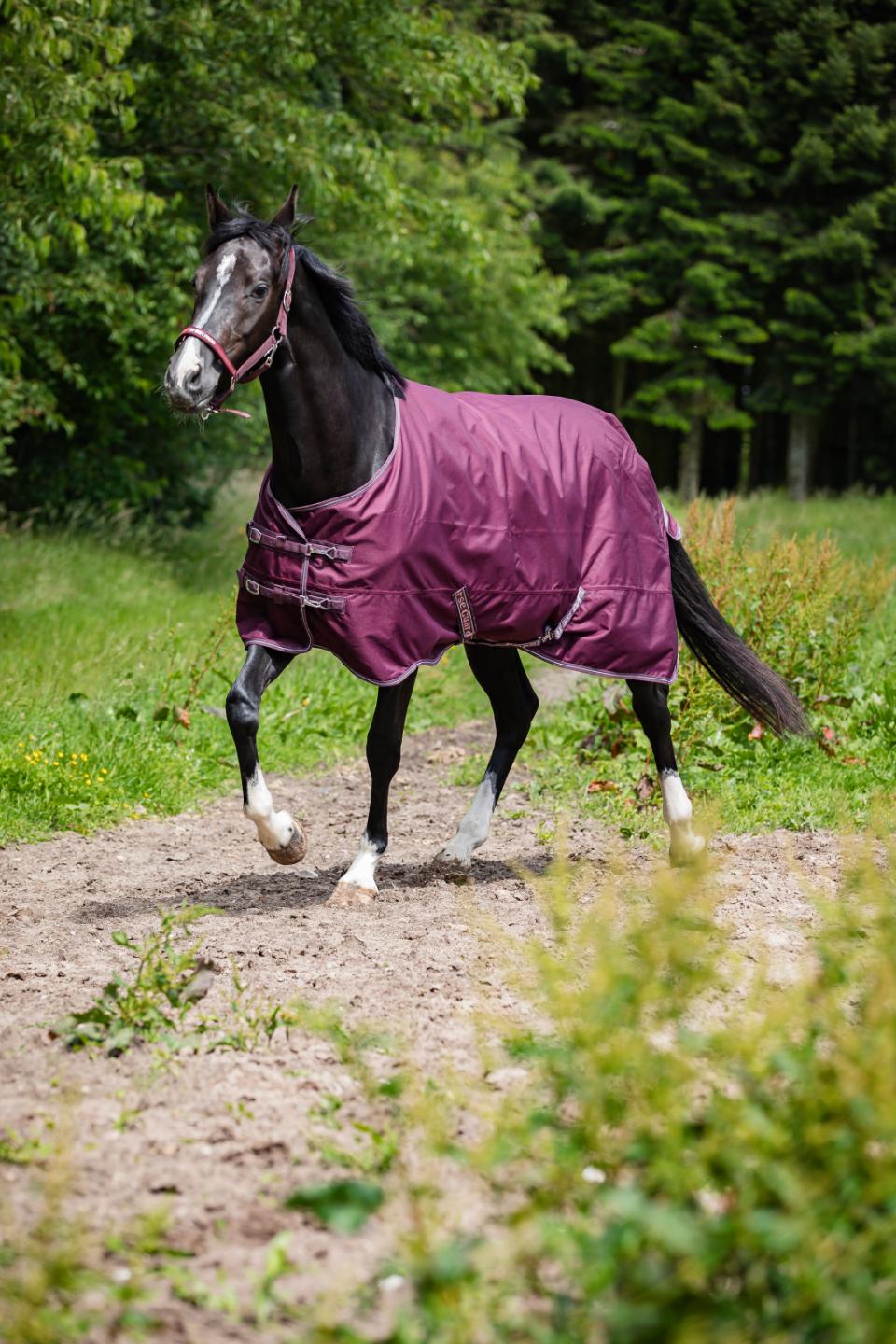 HorseGuard Landon 1200D Ulkoloimi 0g - Italian Plum - 2