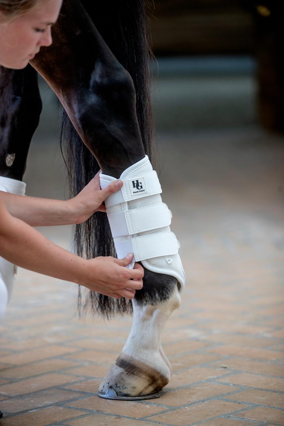 HorseGuard Timothy Mesh Damasker  - Svart - 2