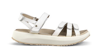 Joya Merida White