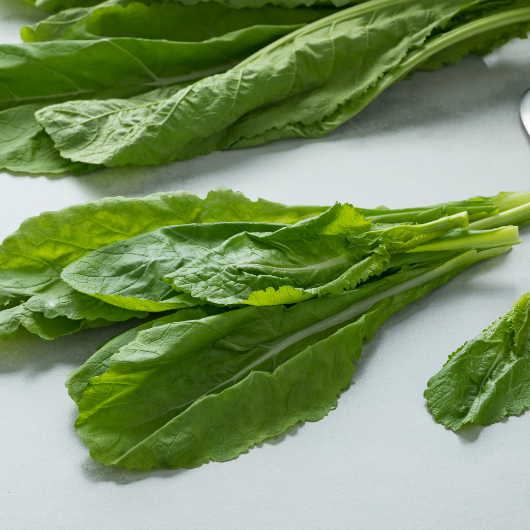 Indisk Bladsenap - Green Amsoi