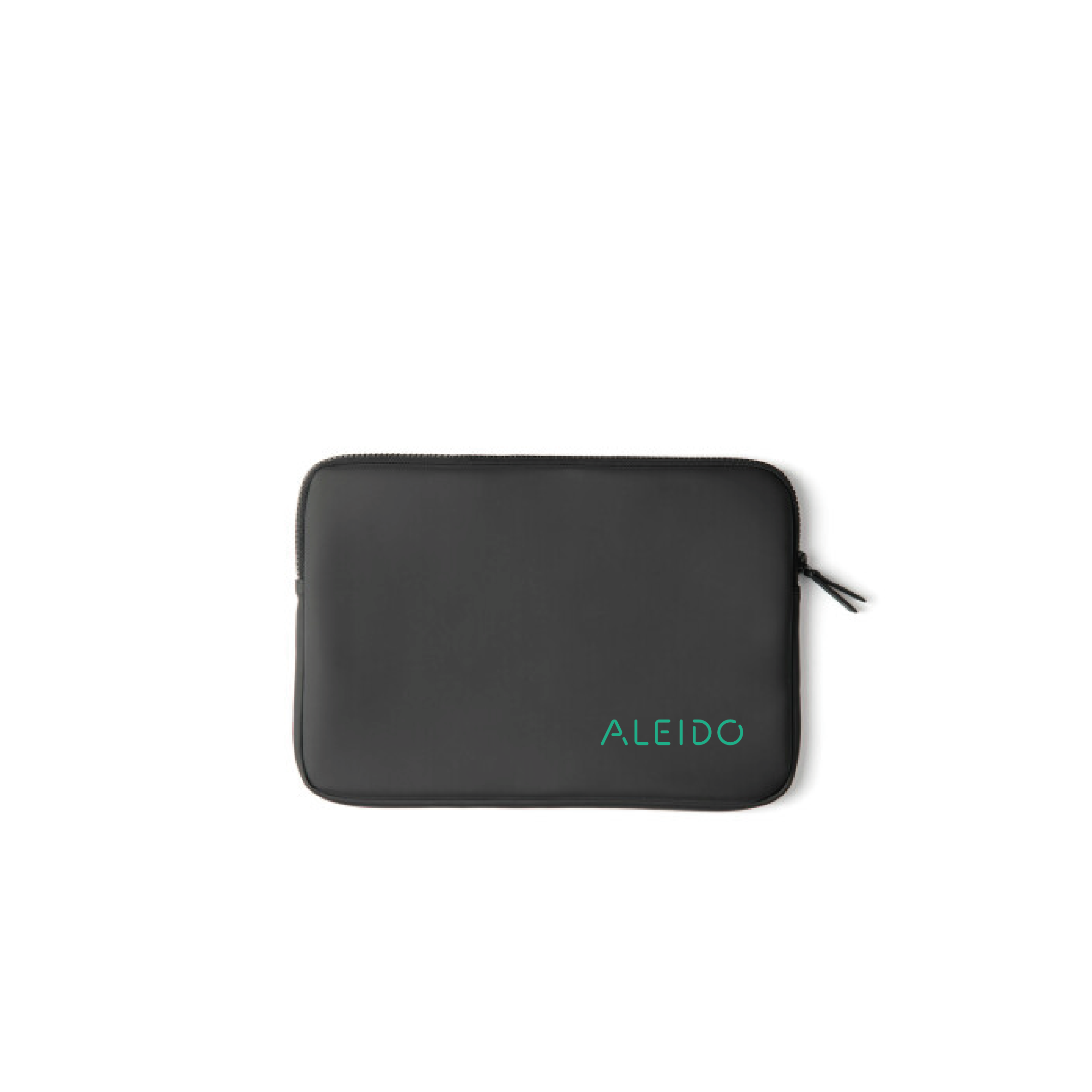 Baltimore laptop case 12-15"