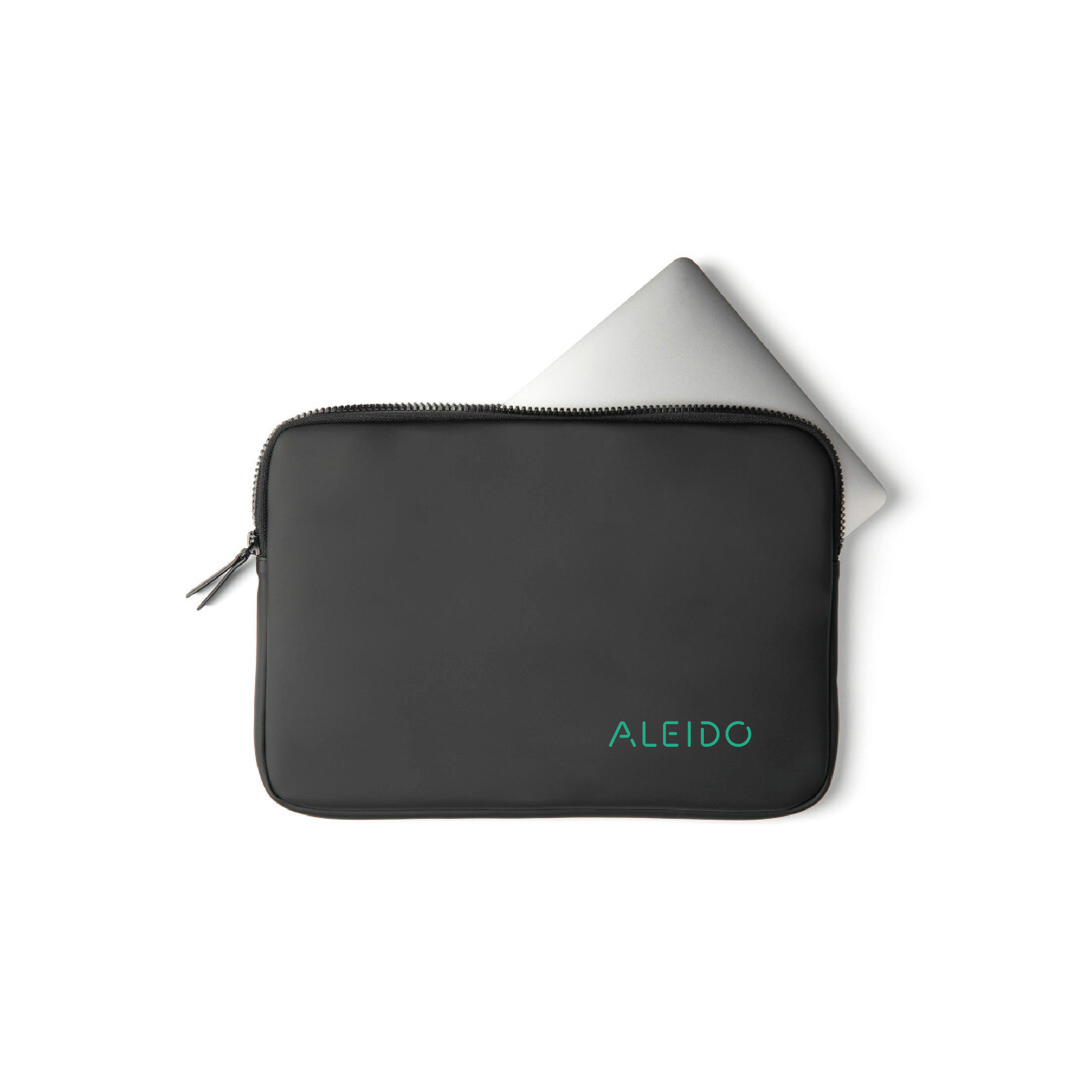 Baltimore laptop case 15-17"