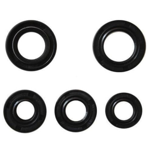 Oil seal set