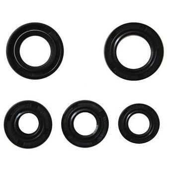 Oil seal set