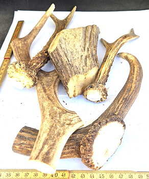 Mixade horn #2