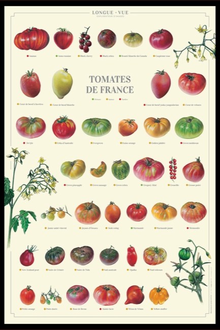 Poster - Franska Tomatsorter