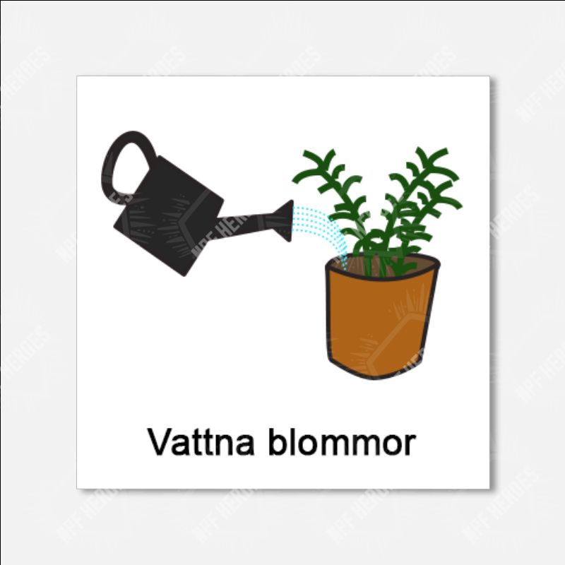 Tvätta bilen