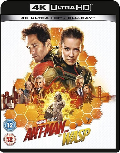 Ant-Man And The Wasp (BLU-RAY 4K ULTRA HD + BLU-RAY)
