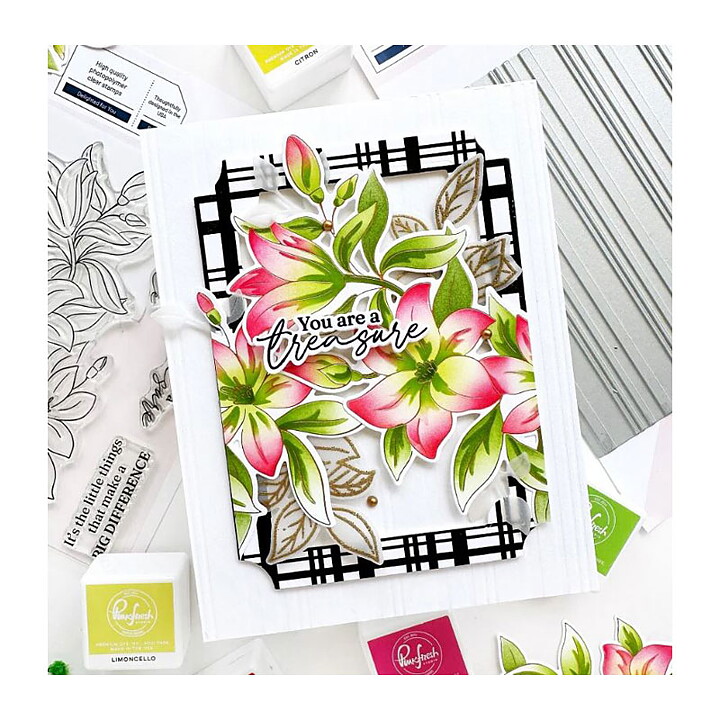 Pinkfresh Studio Stencil - Delighted For You 5 Pack