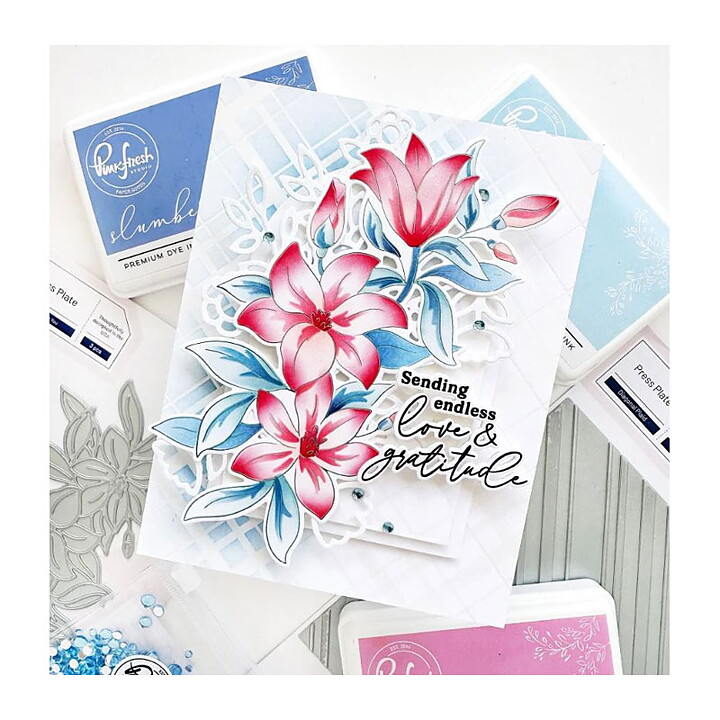 Pinkfresh Studio Stencil - Delighted For You 5 Pack