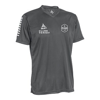 Select Player Shirt S/S Pisa Sr (Pålsboda GOIF)
