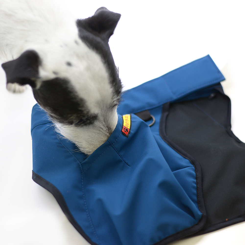 Cookie Belt® – Originalet | Hundträningsbälte (Blått) - 5