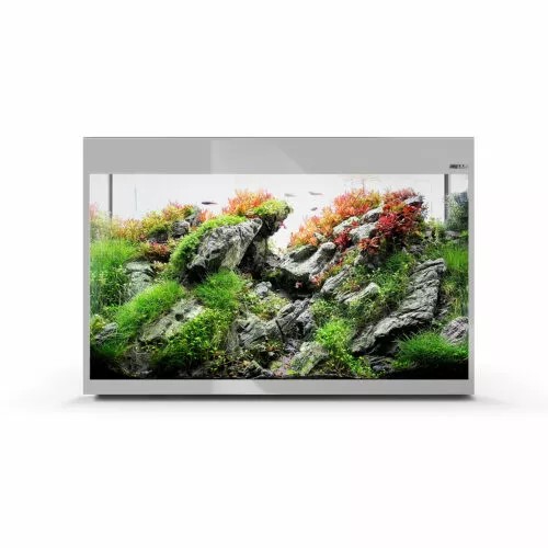 Aquael Glossy ST 80 Paket Grå LxBxH: 80x35x126 cm, 125 liter - 2