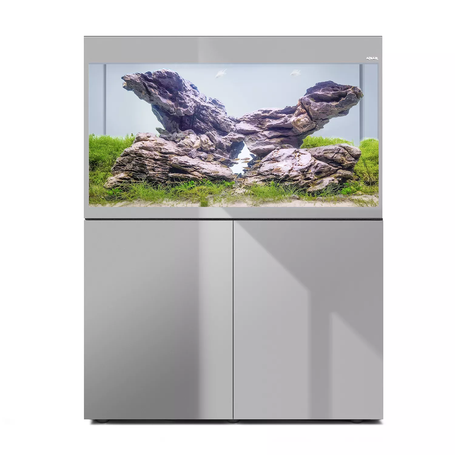 Aquael Glossy ST 100 Paket Grå LxBxH: 100x40x135 cm, 215 liter