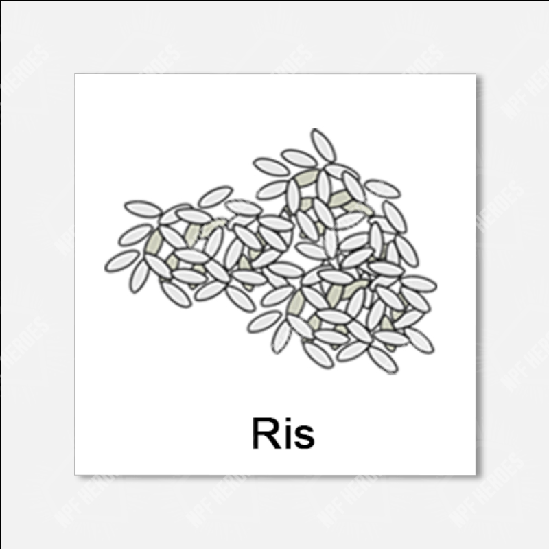 Ris