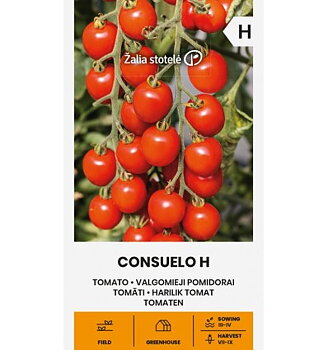 Consuelo H