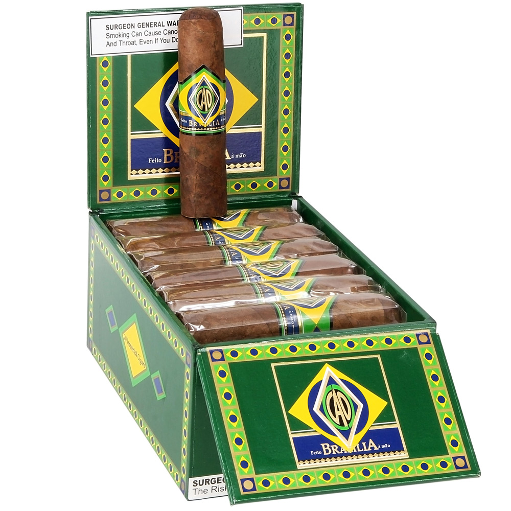 CAO Brazilia Corcovado