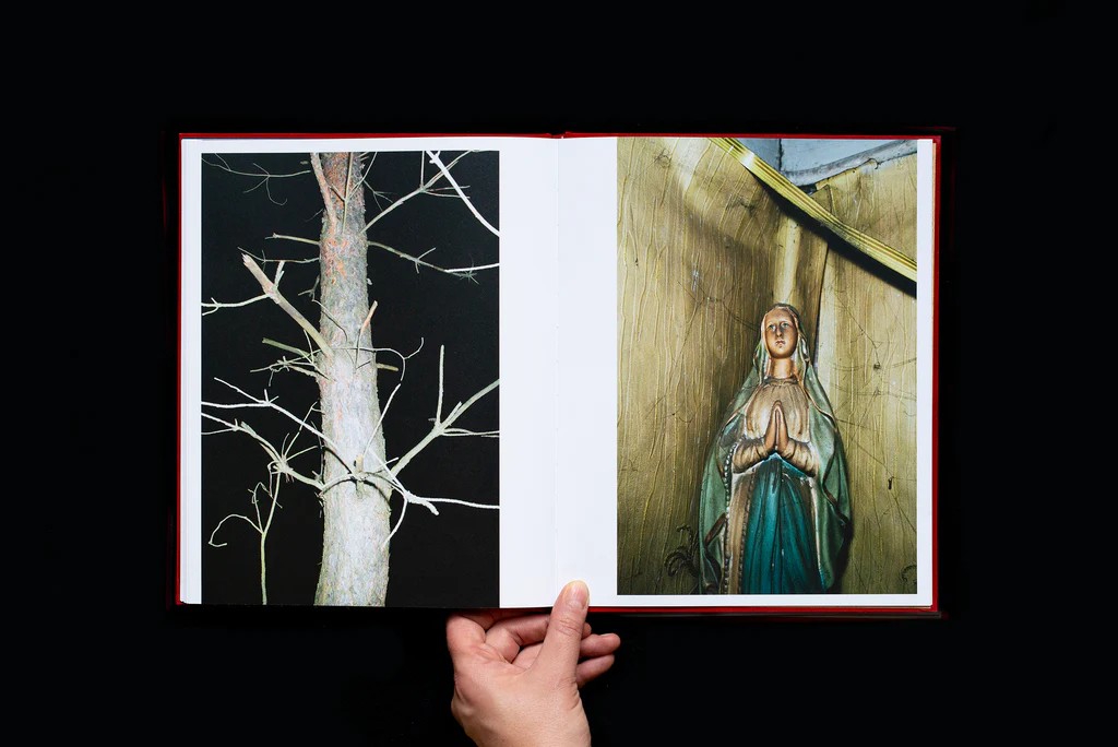 Ela Polkowska: Splinter [signed] - 5